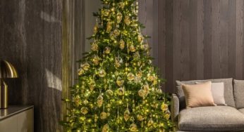 Купити штучну ялинку: як обрати ідеальну зелену красуню для дому чи офісу