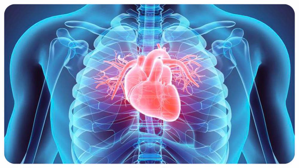 Кардіолог: як вчасно виявити хвороби серця і судин